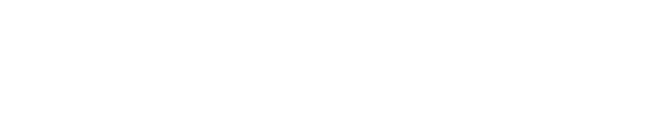 natolino logo